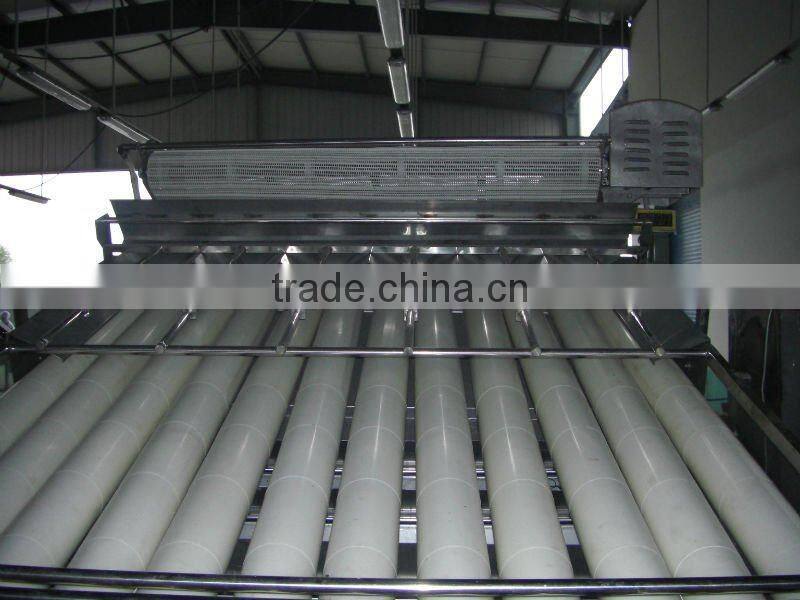 Prawn Shrimp Grading Machine,