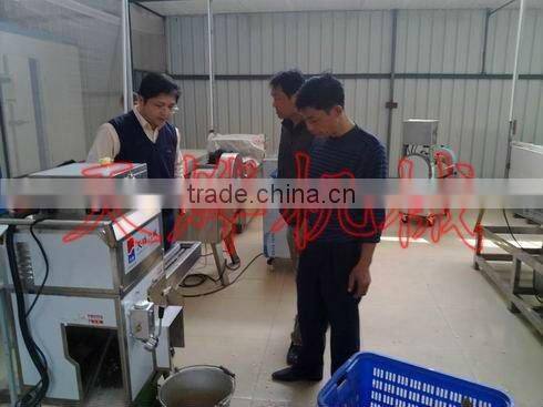 Guangxi Y. L. Vegetable Processing Factory