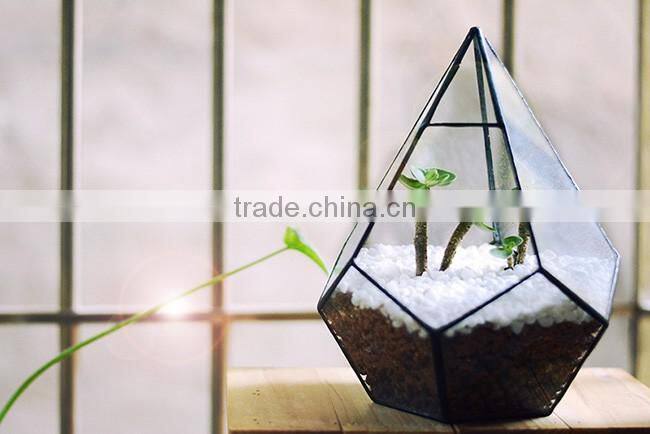 Micro landscape decor handblown clear irregular geometric glass terrarium