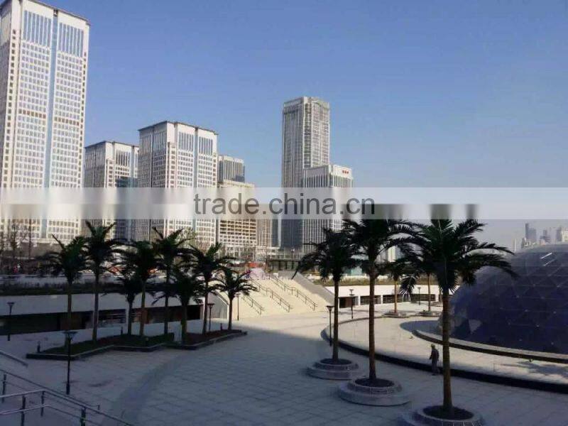 landscape tropical tree project big tree supplier