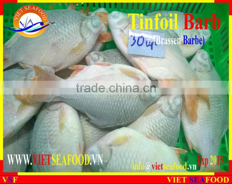 FROZEN W/R RED TAIL TINFOIL BARB