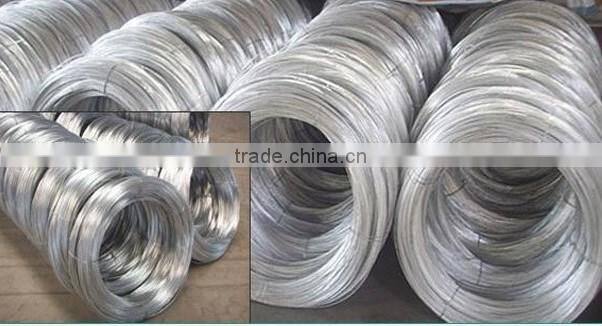 China supplier welded wire mesh
