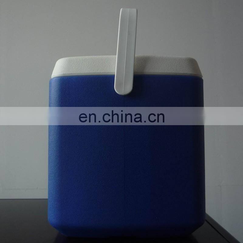 10L Car Cooler/Warmer Fridge Plastic Box for Picnic