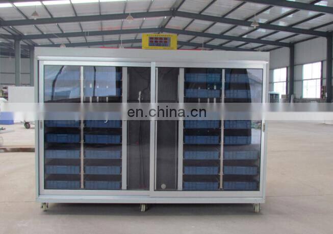 seed sprout machine barley sprout machine