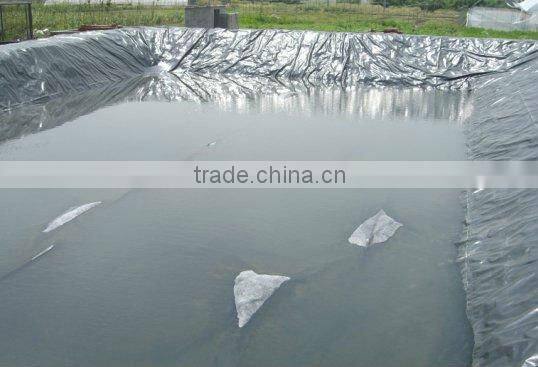 ASTM standard 70 years lifetime HDPE textured type Geomembraner for dam lining