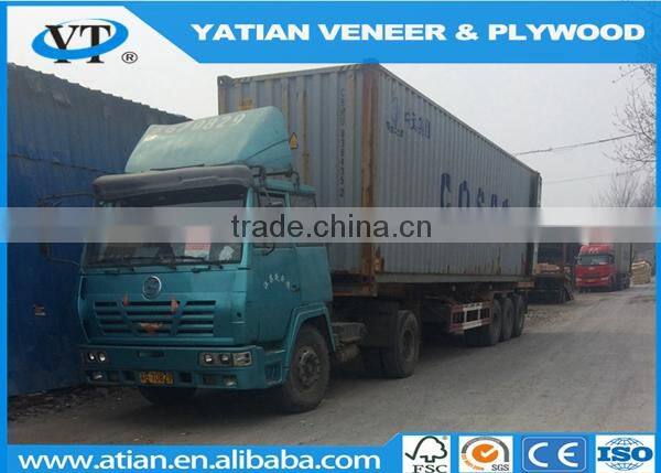 Decorative AB grade poplar wood face veneer to Egypt market 0.3mm factory