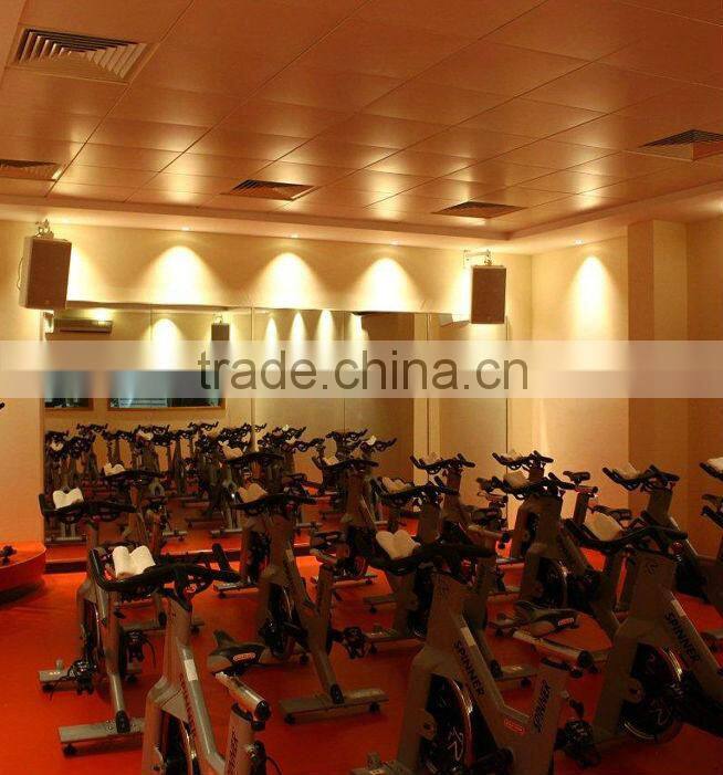 hi quality popular tracklight euro style