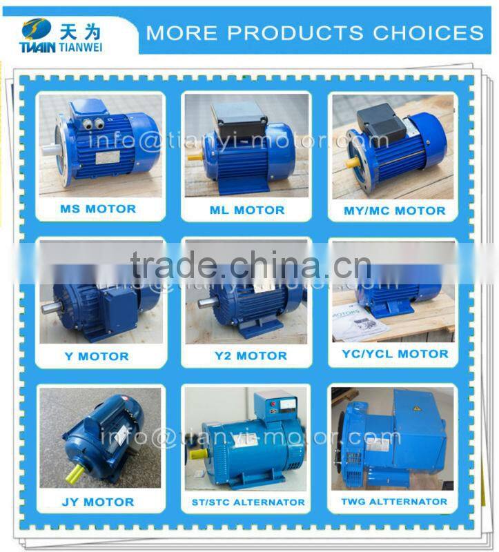 MS Three Phase Aluminum Shell Motor