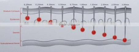 Hot Sale Home Use 1080 Needles Body Dermaroller