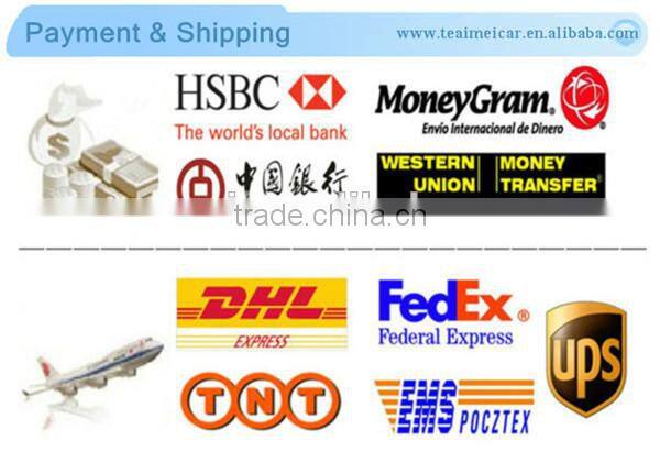 Anti-theft Car Logo Tire Valve Stem Cover Tyre Dust Caps With Lock