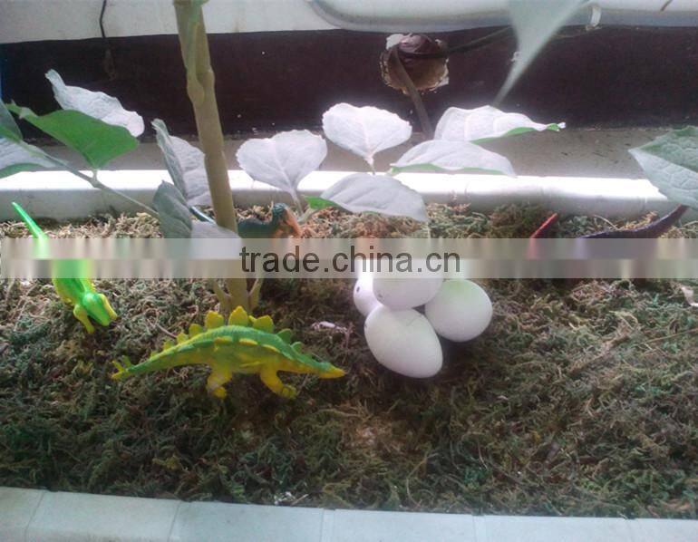 dinasour egg grow expand in water growing toy