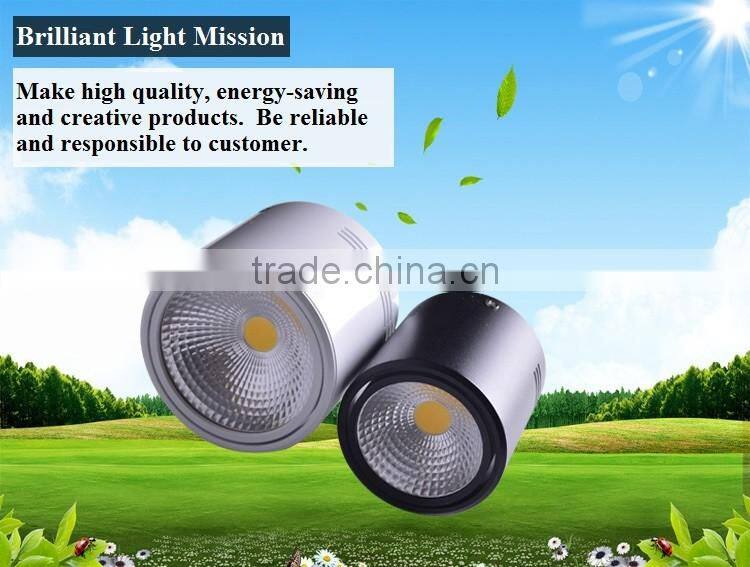 Pure white LED Downlights and LED COB Surface Mounted LED downlight