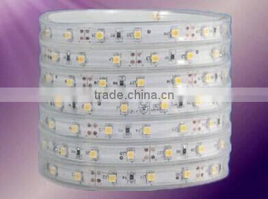 Smd3528 60leds IP67 2cold color 12V bright led strip