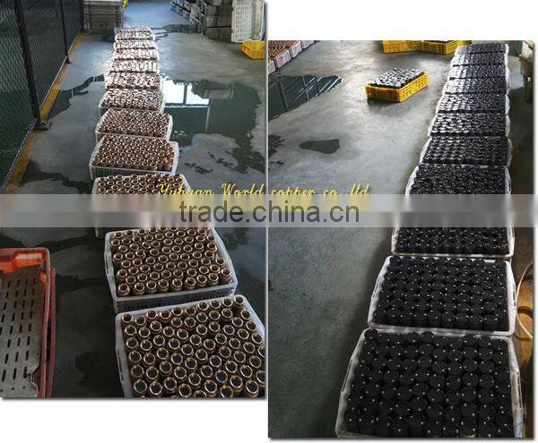 WD-1307 Bronze Spring Check Valve Foot Valve with net