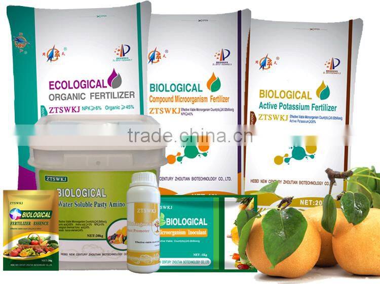 big yellow pear sweet juice