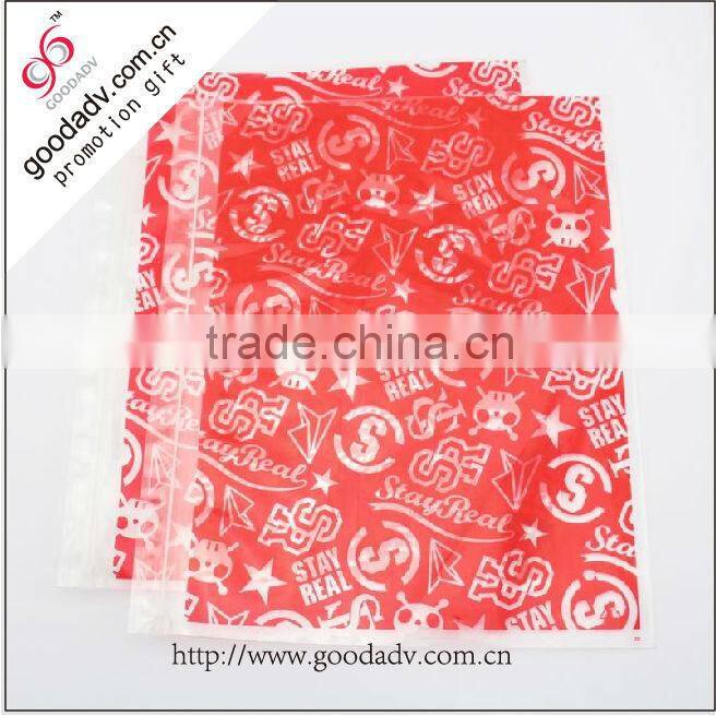 Translucent pp folder / plastic A4 format report files folder