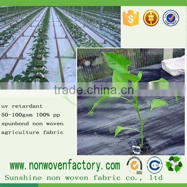 20M x 1.5M 50 GSM Weed Control Fabric nonwoven Membrane Rolls Ground Cover
