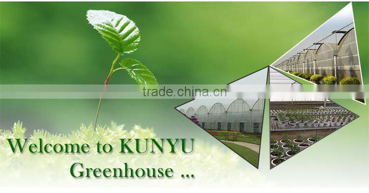 Galvanized steel frame greenhouse for Agriculture