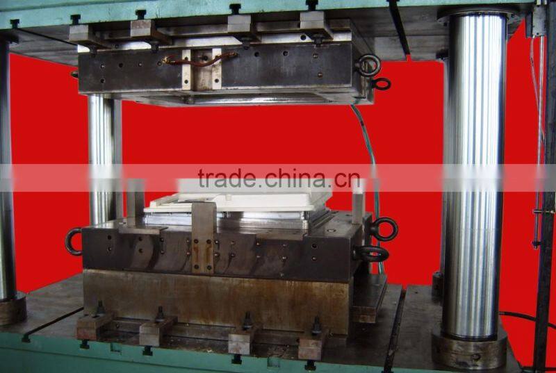 FRP High Quality SMC Door Skin mould