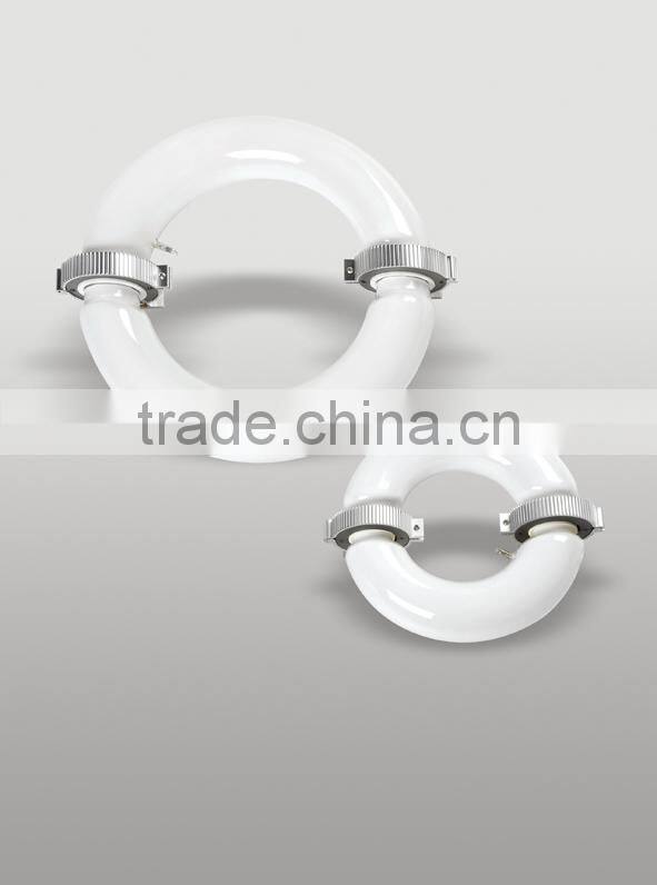 100w 200w 400w 220~240V 2700K-6500K Induction Light Source With Ballast