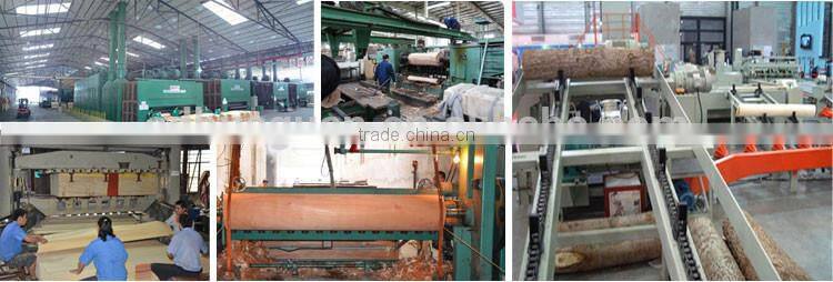 phome window privacy film/melamine paper supply from shandong wahkoon company