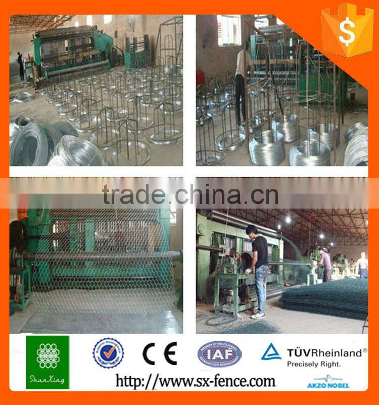 Anping Factory direct hexagonal wire netting with best price and quality