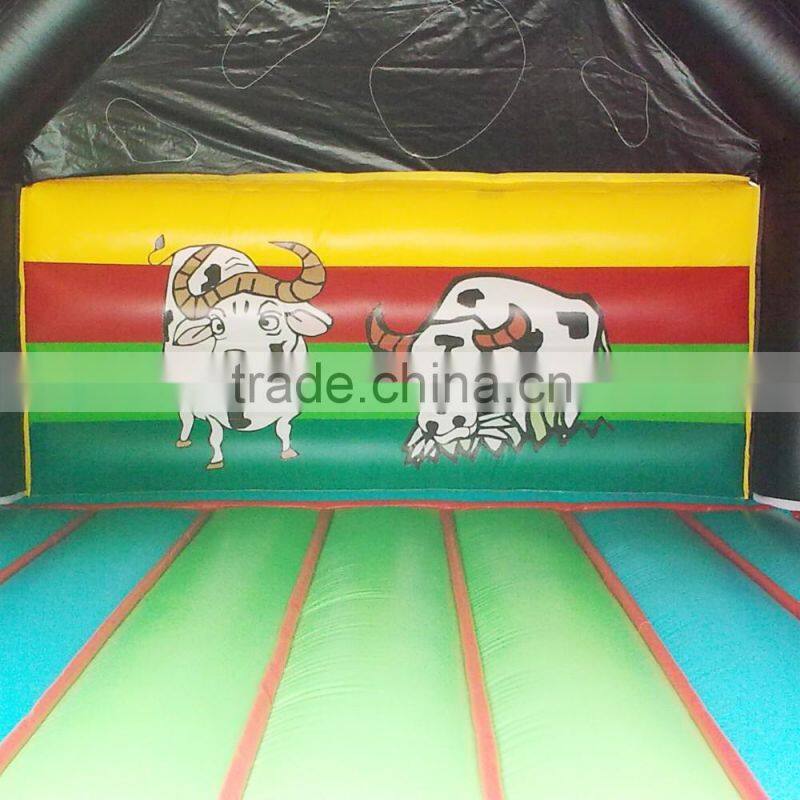 inflatable bouncy castle