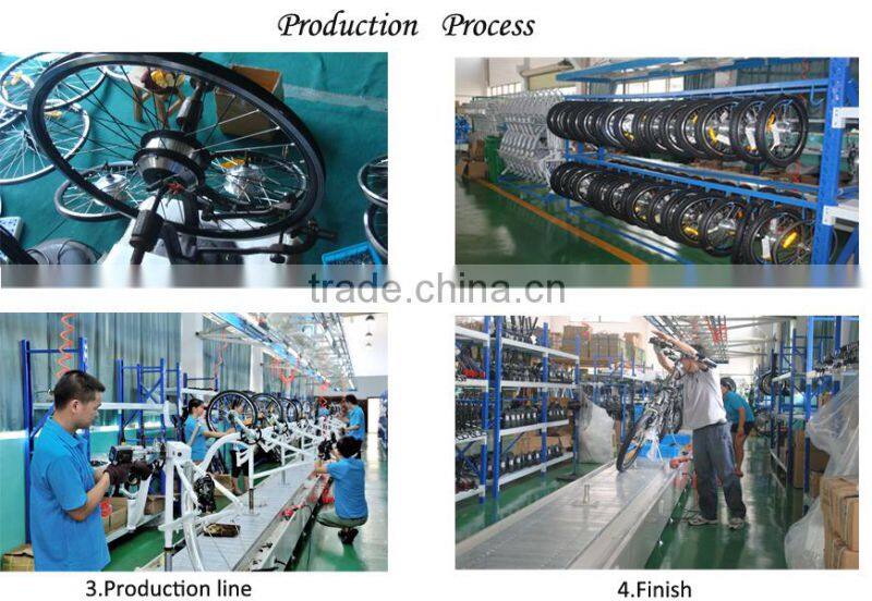 700C 36V 250W to 500W brushless motor rear battery electric cycle (CF-TDB03Z)