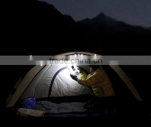 Inflatable Light Balloon