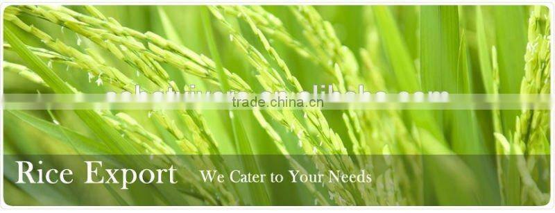 bulk basmati rice short grain rice with good quality