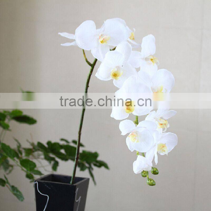 High simulation plastic silk Peony / artificial flowers / Fake Queen Peony