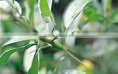 Hot-selling and Famous japanese herbs and spices pepper yuzu , sample available