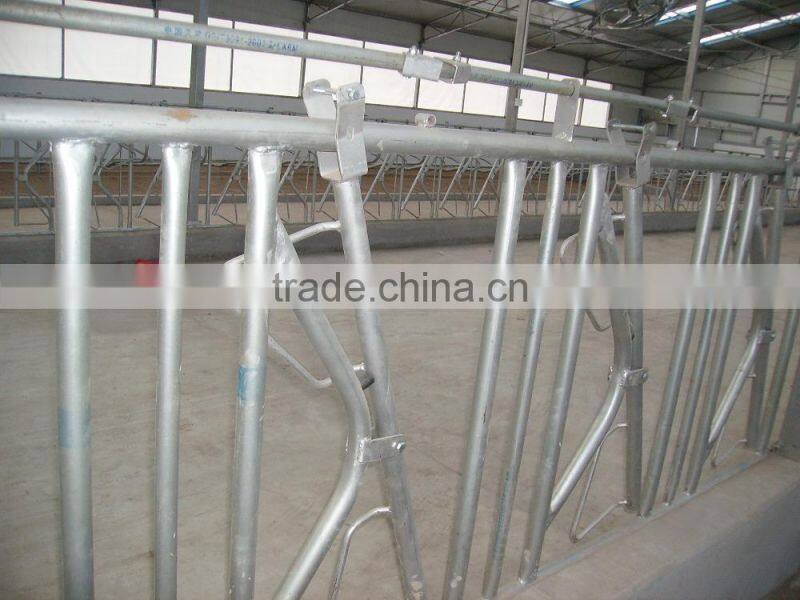 Steel Tube Cattle Headlock Fence Panels