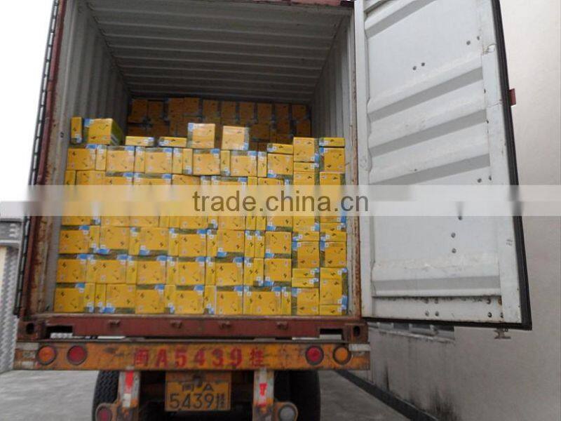 1.5 hp gasoline water pump