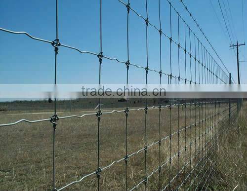 Galvanized cattle fence / Grassland fence