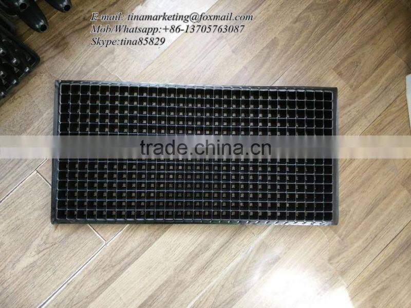 Growing Vegetable Transplants in Plug Seed Nursery Trays 8 Cell