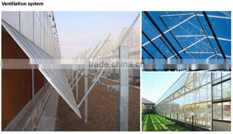 China greenhouse roof panels