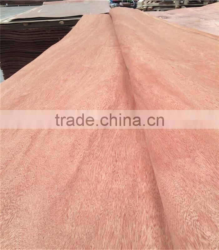 Linyi Factory grade a b c d rotary cut 0.28mm 1220x2440 BNG face Veneer