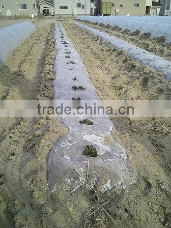 Best price! agricultural garden greenhouse film for export