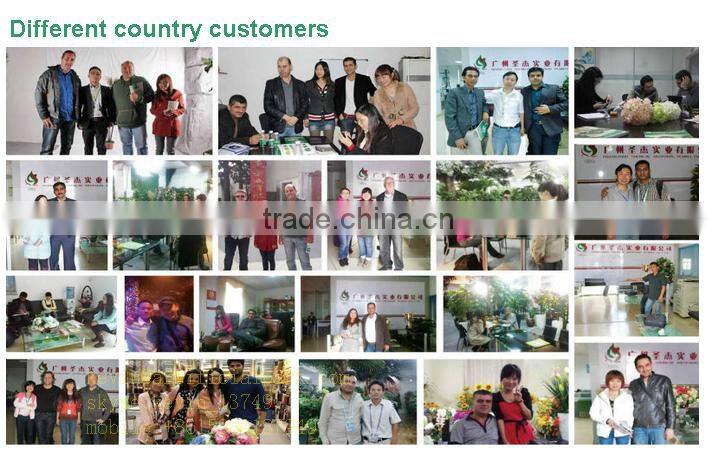 Decorations artificial living wall for indoor plastic big green leaves fake vertical green wall