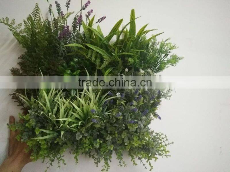Decorative frame wall hanging grass plants