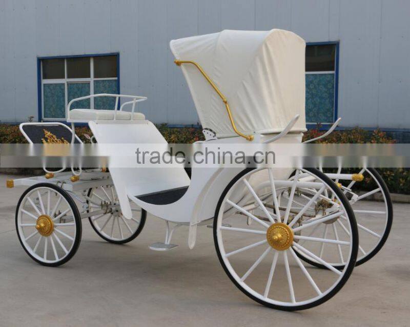 Hotsell cinderella carriage horse carriage(BG11-M082)