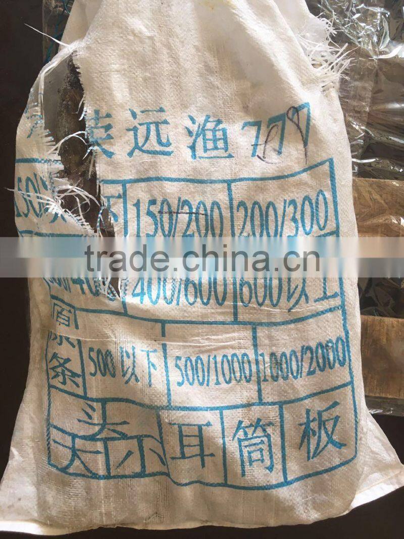 150-200g Illex Argentinus Squid Frozen Squid