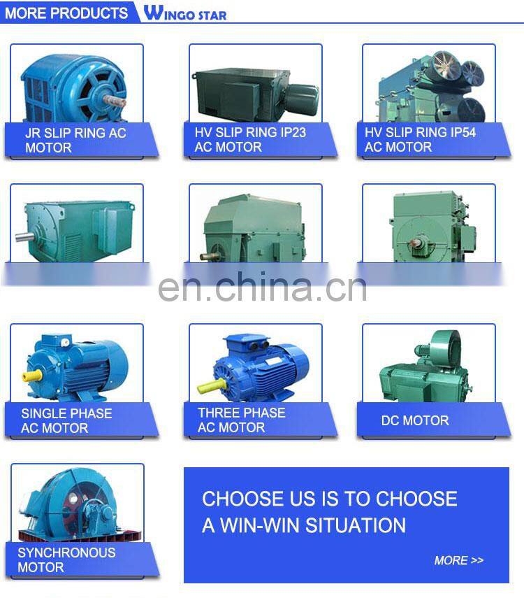 adjustable-speed motor 80kw