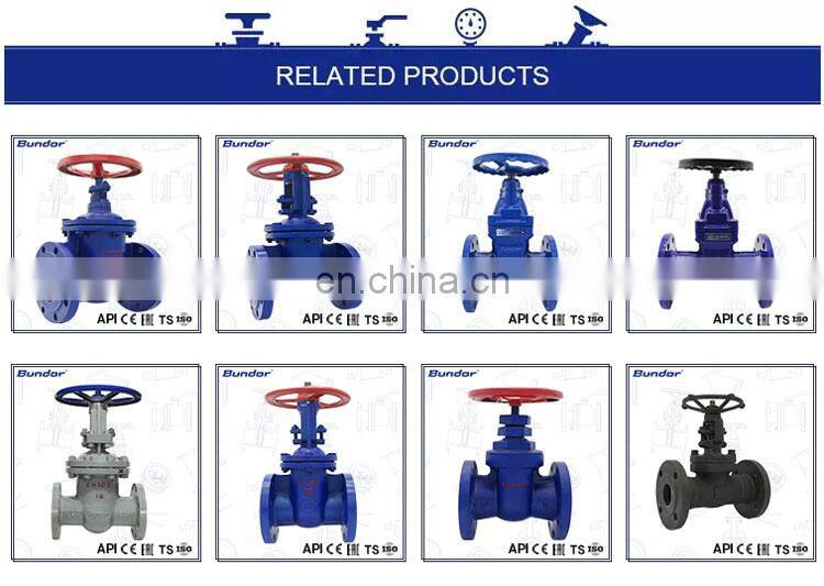 Bundor 6 Inch 3 inch pn16 pn25 forged steel carbon steel rising stem Water Gate Valve Manual Slide Gate Valve