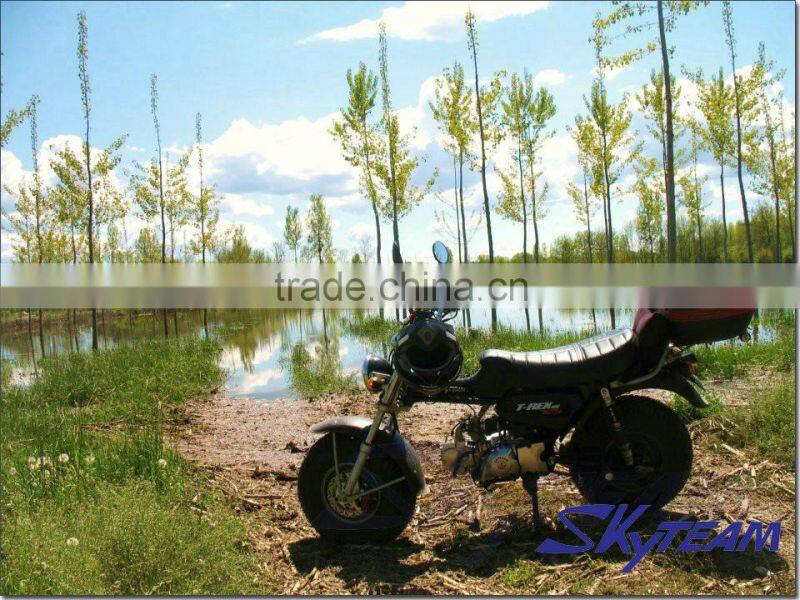 SKYTEAM 125CC 4 STROKE ST125-11 RV T-REX (EEC, EUROIII EURO 3 EPA approved)