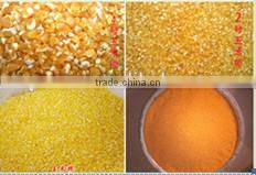 Top selling and easy operation maize corn grits machine/maize meal processing machine