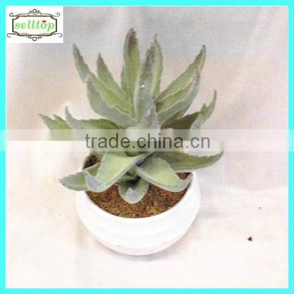 10cm new design hot sale artificial mini cactus plants
