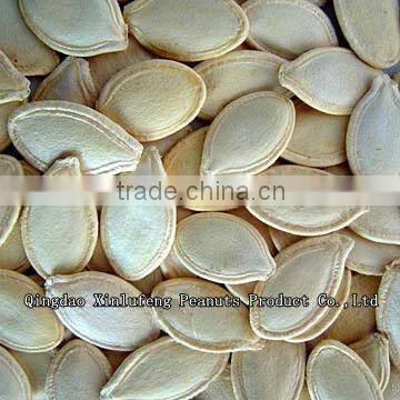 Pumpkin seeds in shell