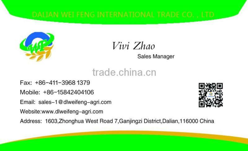 New crop Chinese sunflower seed kernel for export